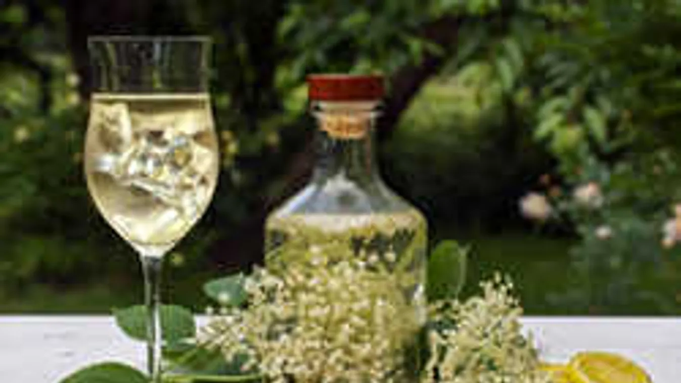 Most nyílik a legegészségesebb magyar virág! Érdemes belőle sokat szedni