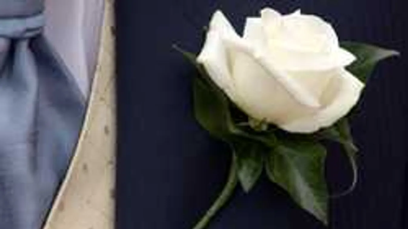 Döbbenetes esküvő, ilyet még nem láttál