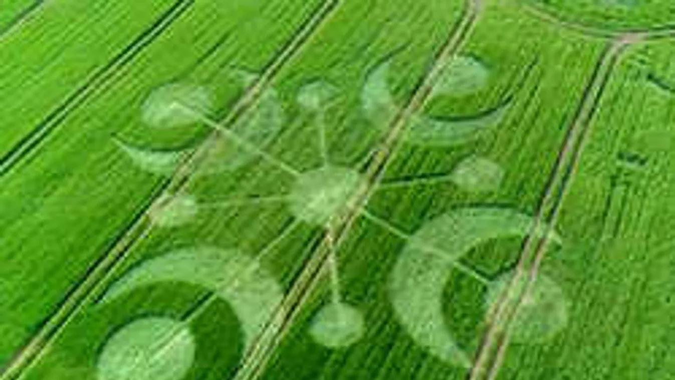 Újabb rejtélyes gabonaköröket fedeztek fel egy brit búzamezőn