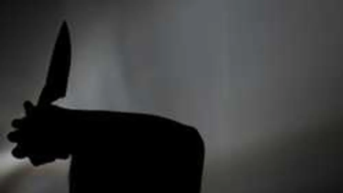 70 késszúrás, borzasztó, miért döfte le lányát a tébolyodott anya