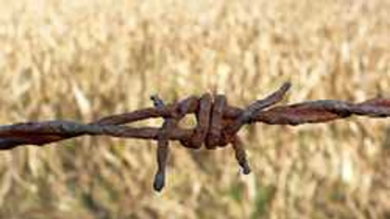 Most közölte a rendőrség: megrendítő tragédia történt egy apukával