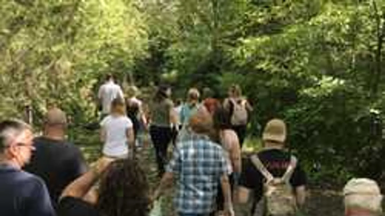 Drónokkal keresték a rejtélyesen eltűnt magyar férfit