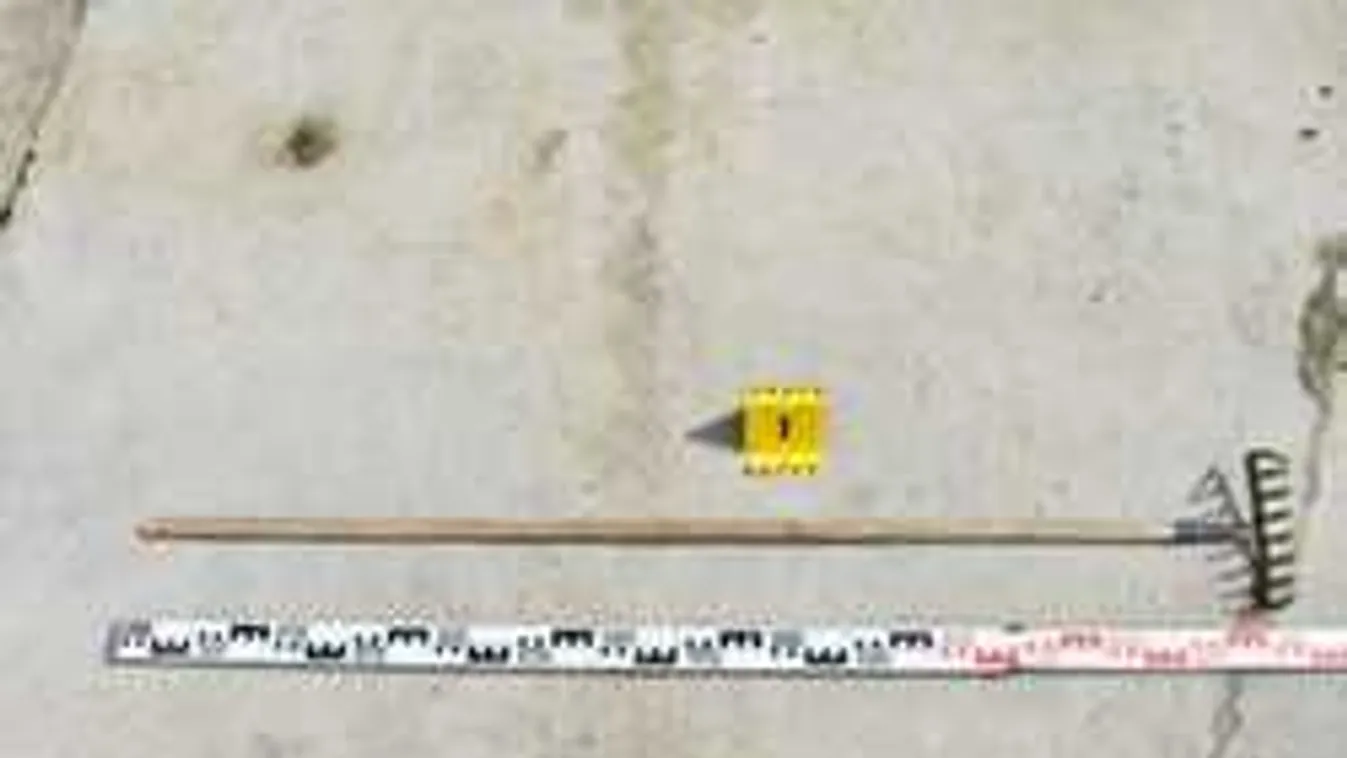 Ez igen! Gereblyével esett egymásnak két nyugdíjas néni Hőgyészen