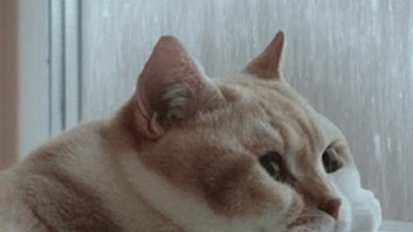 Itt lesz ma felhőszakadás, de délután jön a csavar