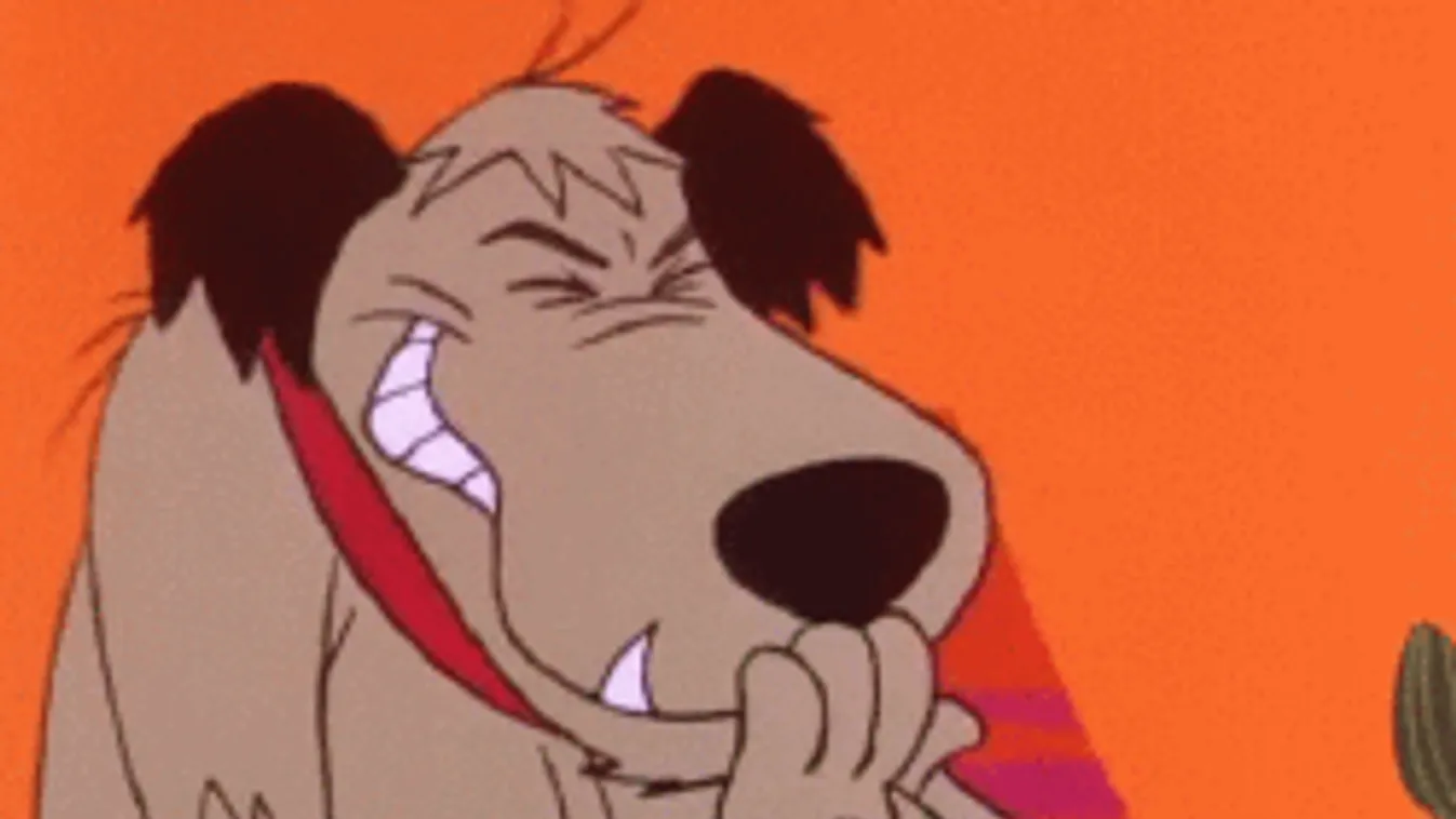 Ezen a hisztériázó papagájon pörög ma az internet népe