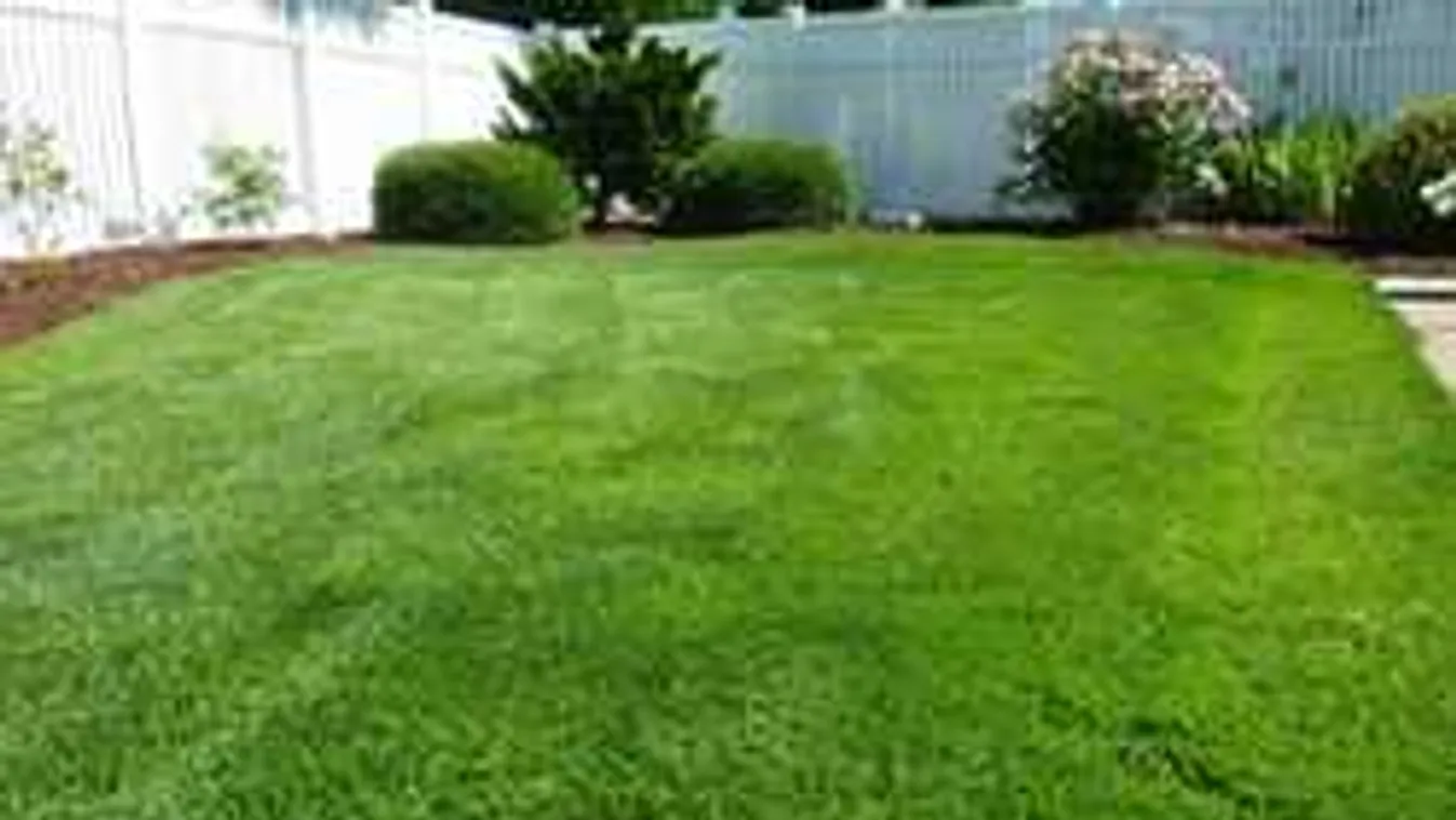 Így lesz nyáron is gyönyörű a füved