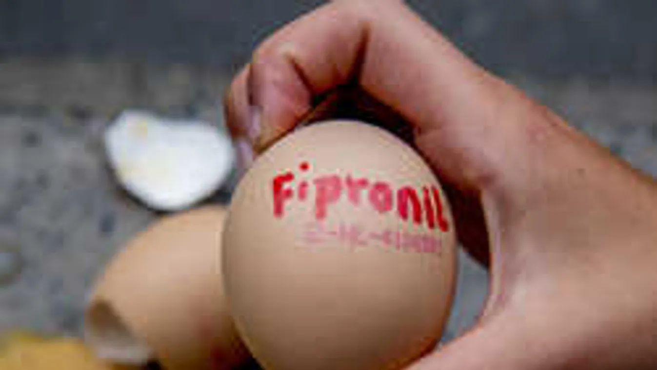 Újra idegméreggel szennyezett tojást találtak