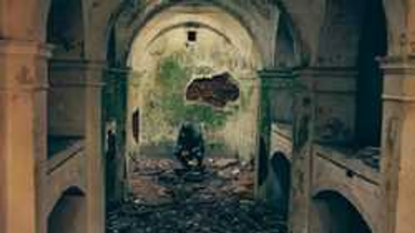 Megerőszakolt egy  szellemi fogyatékos nőt, hogy Belgiumban maradhasson