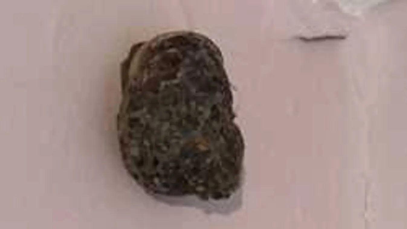 Ez mindenen túltesz: elhűlt az anyuka attól, ami a gyerekszoba falán volt