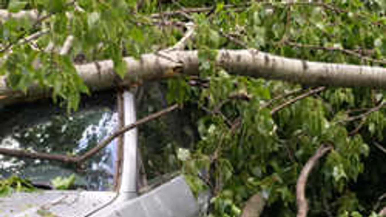 Megszólalt a nagymama, aki túlélte: négy családtagját ölte meg a vihar