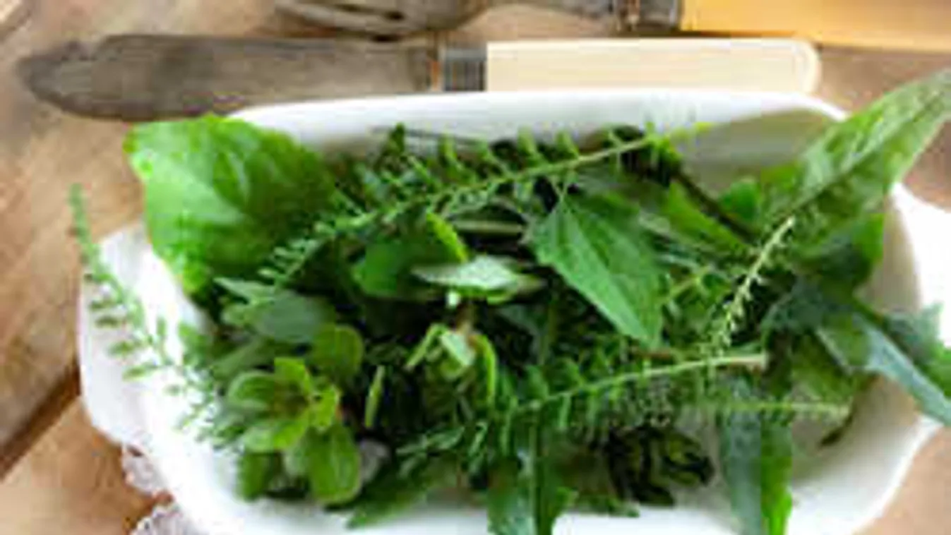 Tombolnak a gyomok a kertedben? Ne bosszankodj, ide nézz!