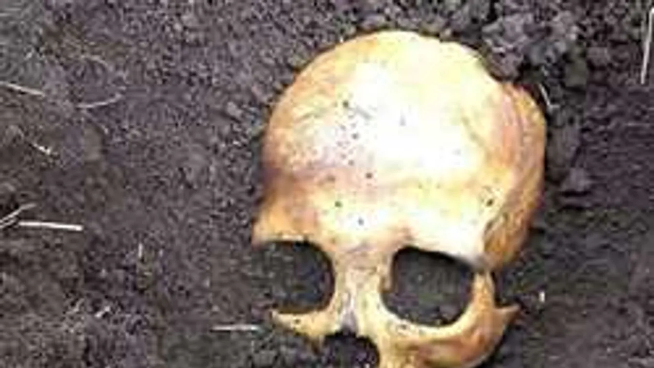 Szörnyű titok derült ki a kertben talált koponyáról, vallott a feleség