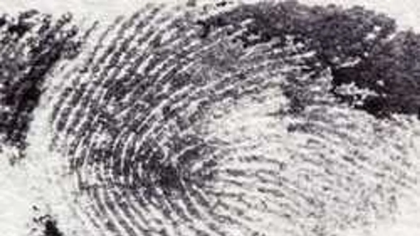 2,2 millió bevándorlási eljárást kell átnézni Németországban