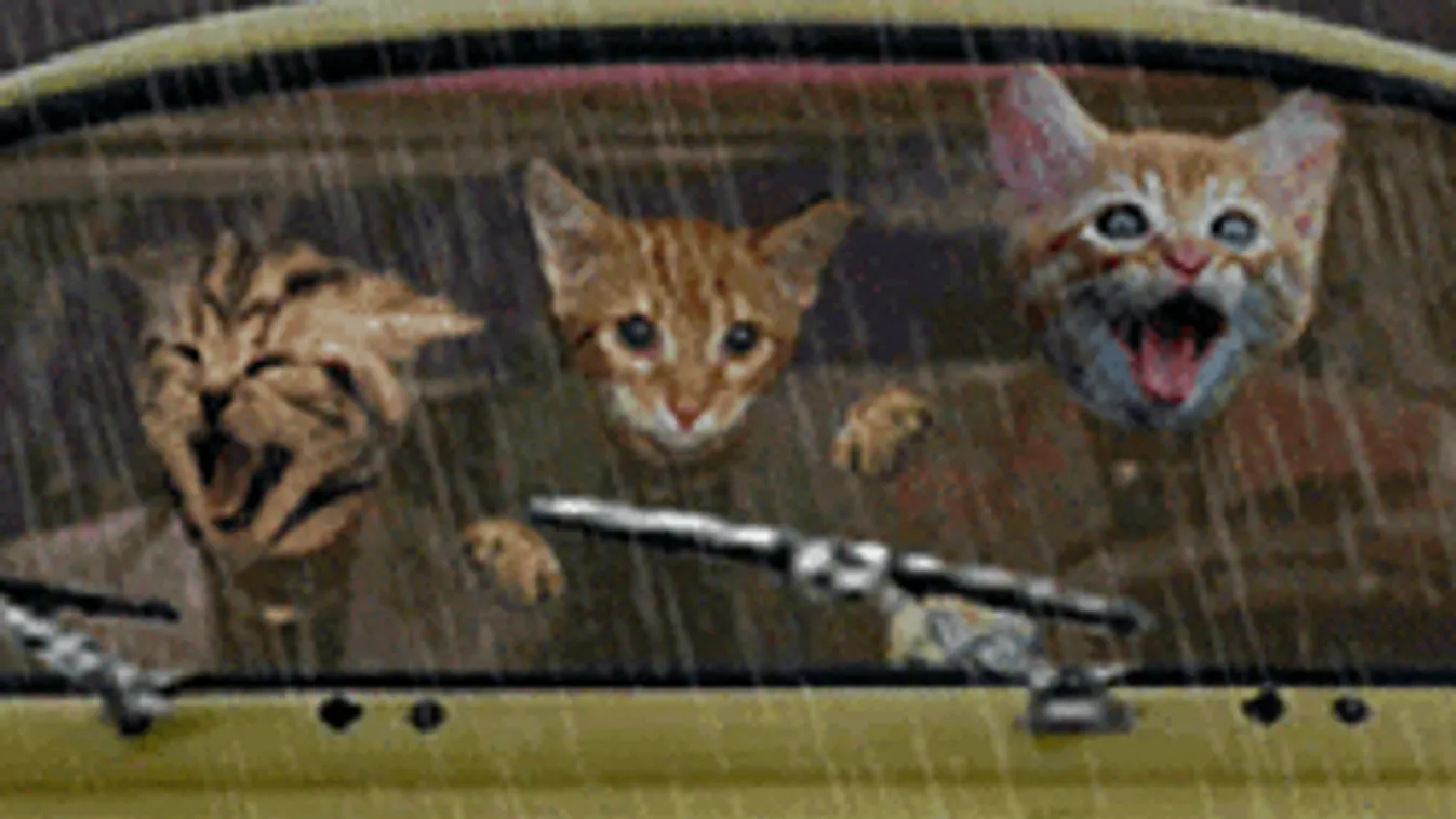 Nagy eső mossa el a hétvégét, itt kell vigyázni