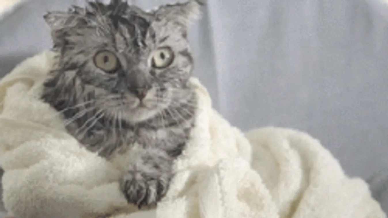 Durva hidegfronttal tör be az újabb lehűlés, ebben nem lesz köszönet