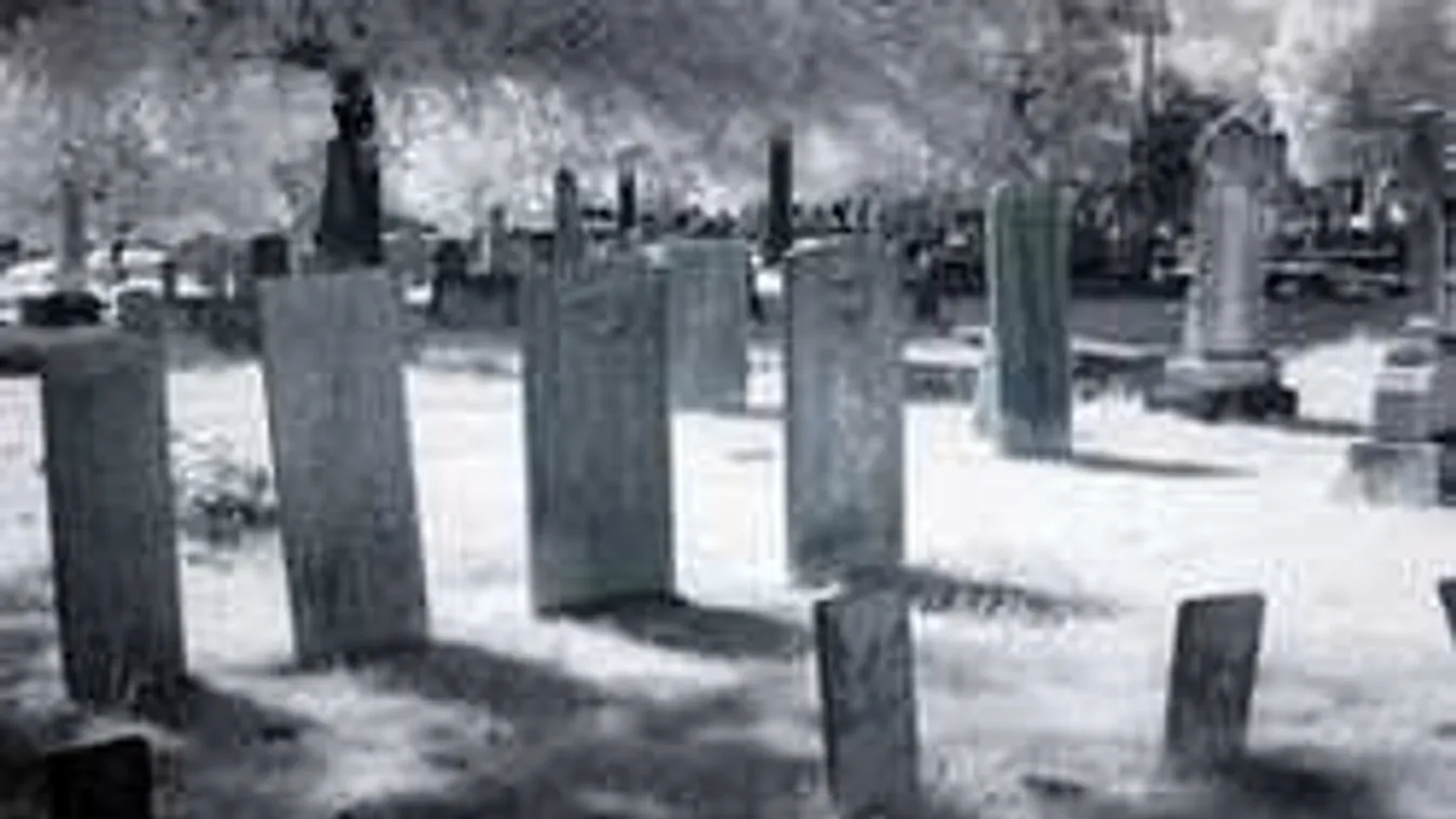 Szörnyű dolgot művelt 7 magyar fiú egy 14 éves kislánnyal a temetőben