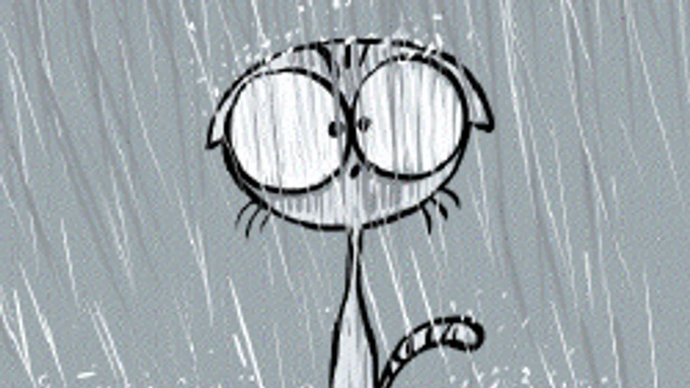 Viharos idővel indul a reggel, de aztán jön a meglepetés