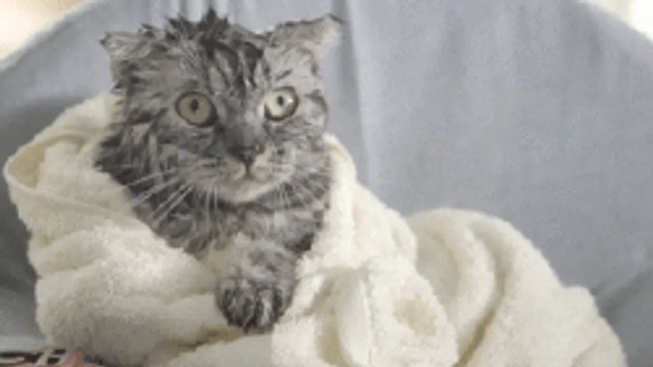 Bekeményít az időjárás, dupla riasztást kapott az ország