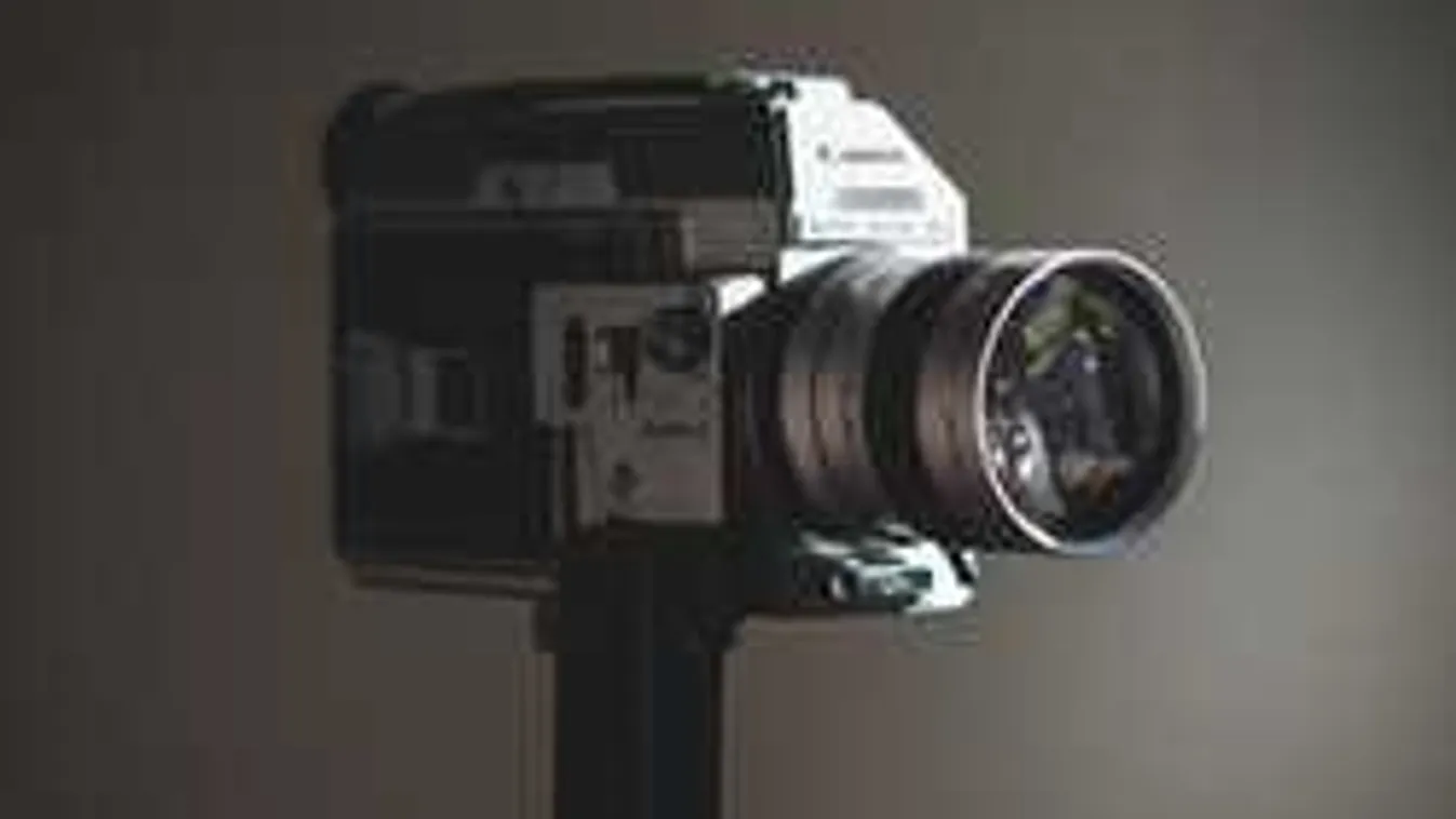 Sosem látott felvétel, óriásdisznók bukkantak fel az erdőben