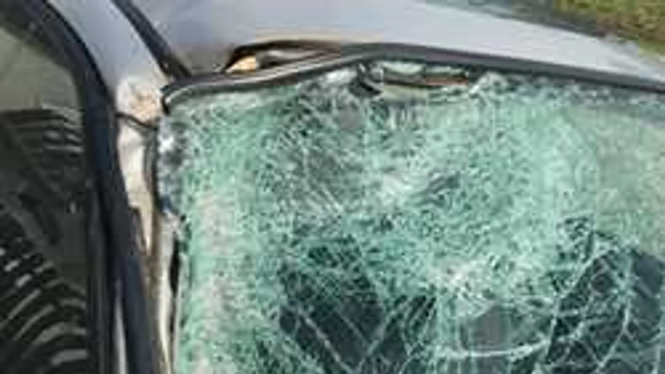 Fiatalok autójára szakadt rá a fa