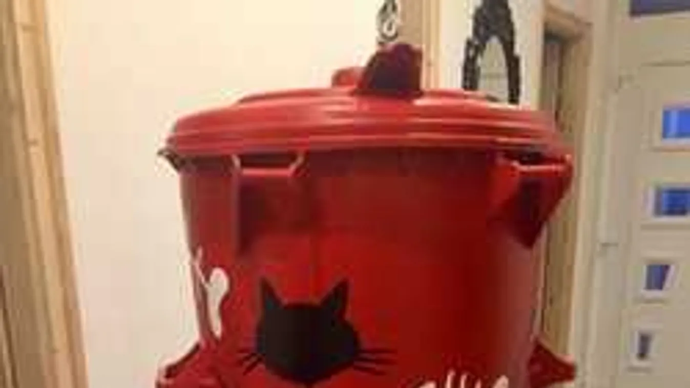 Felrobbantotta a netet a tűzpiros budapesti kuka