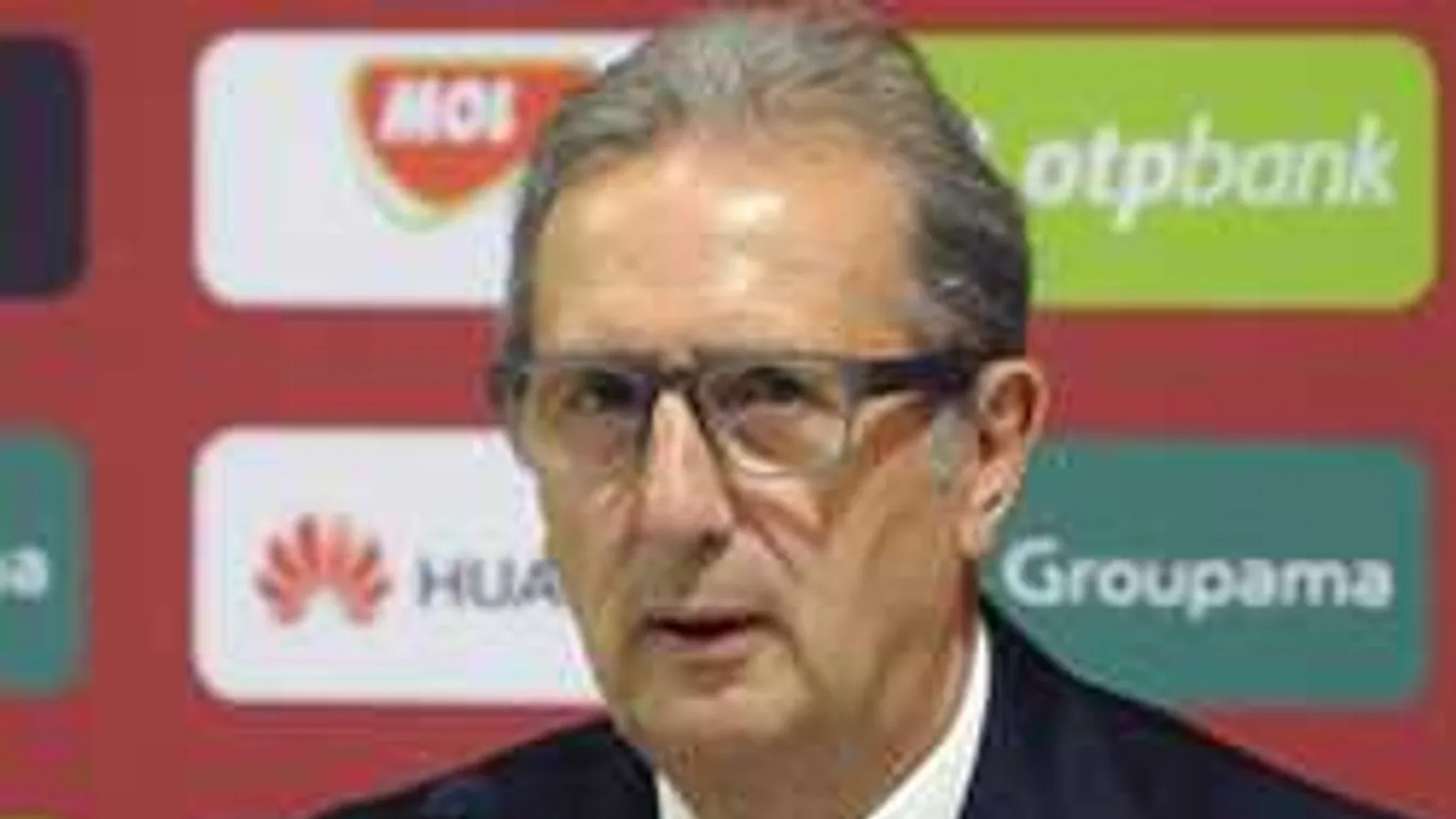 Döbbenetes összeg, ennyit keresett a kirúgott Leekens