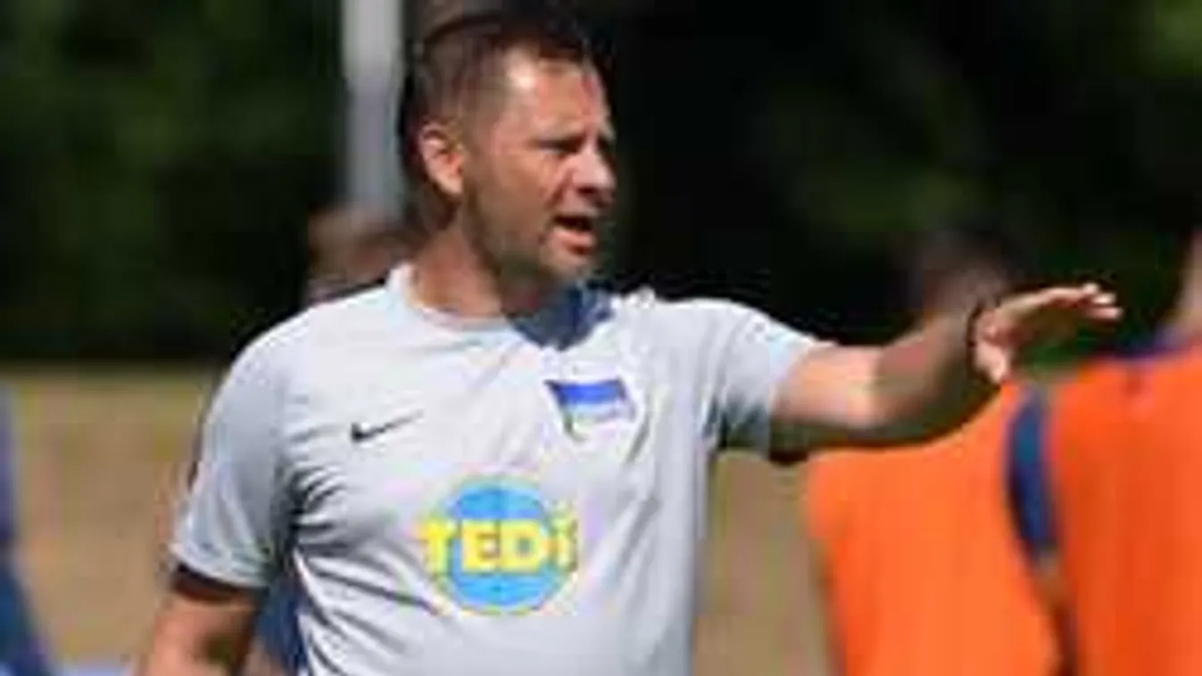 Dárdai ötletén ámul a német foci: zseniális húzás vagy végzetes hiba?