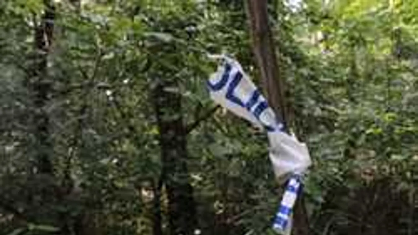 Sokkoló részletek: vaddisznók túrták ki a feldarabolt holttesteket Pilisszentivánon