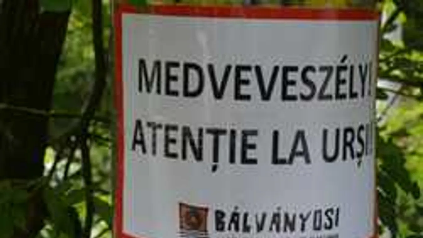 Medve támadt a tusványosi rendezvény egyik  résztvevőjére