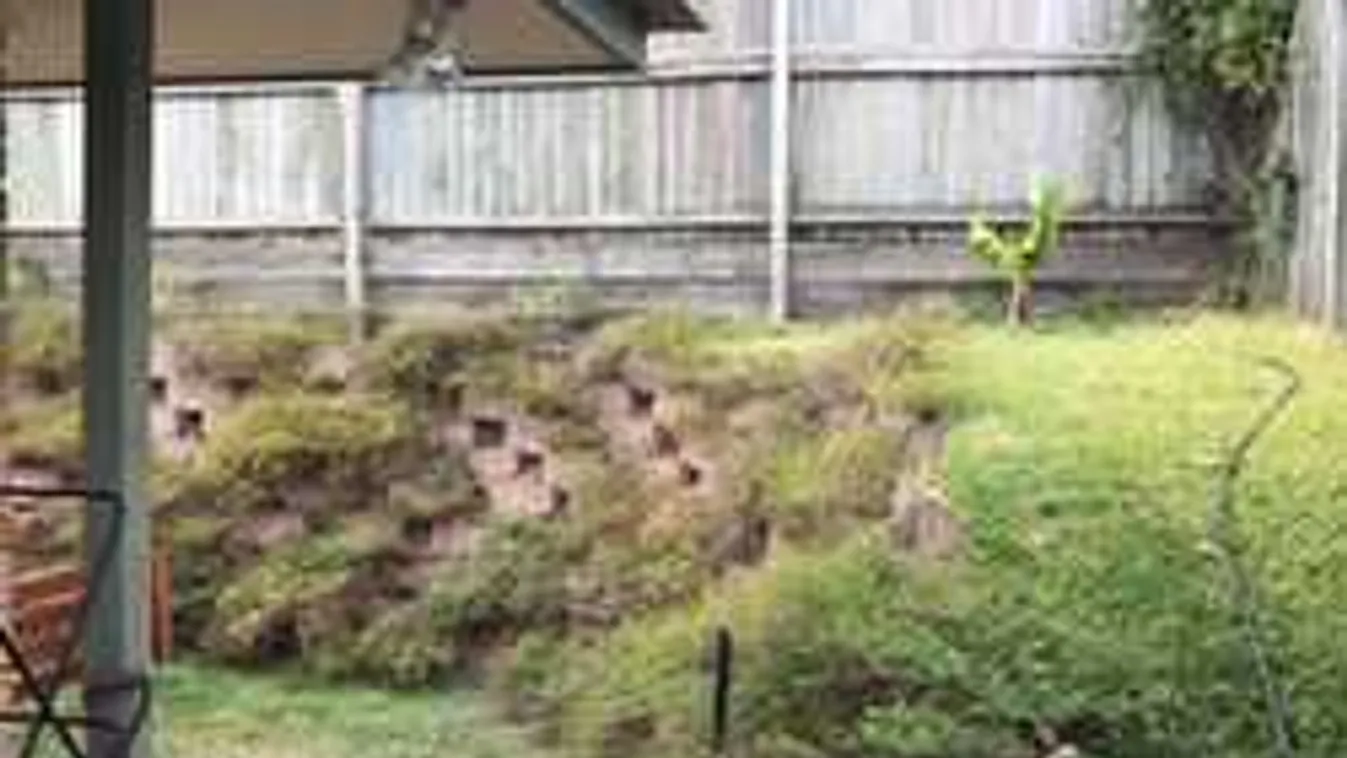 Durva ez a fejtörő: szinte senki nem látja meg, hol lapul a kígyó ezen a képen!