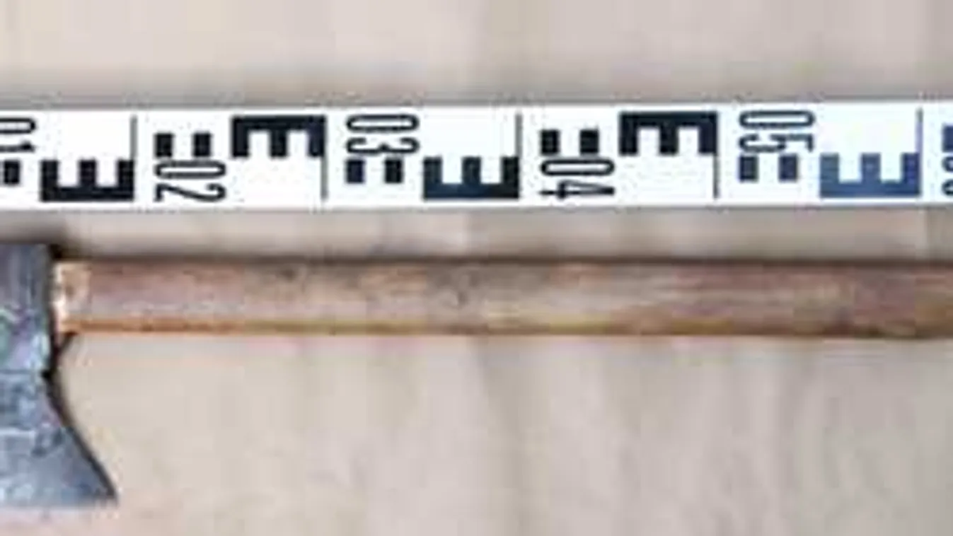 A mentőben halt meg a baltás gyilkos áldozata