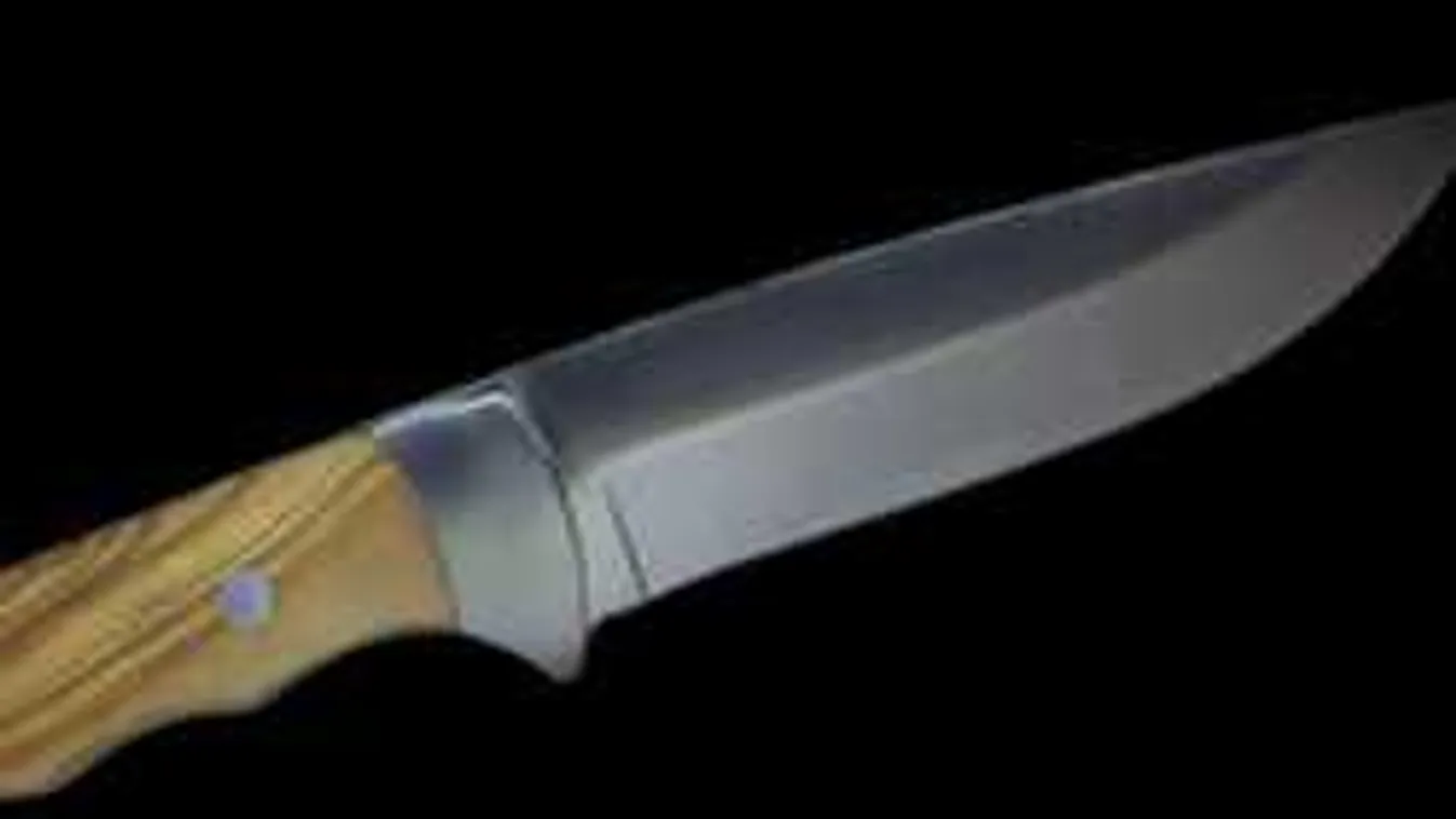 Brutális vágással ölt meg egy észak-afrikai egy 19 éves belgát a pályaudvarnál