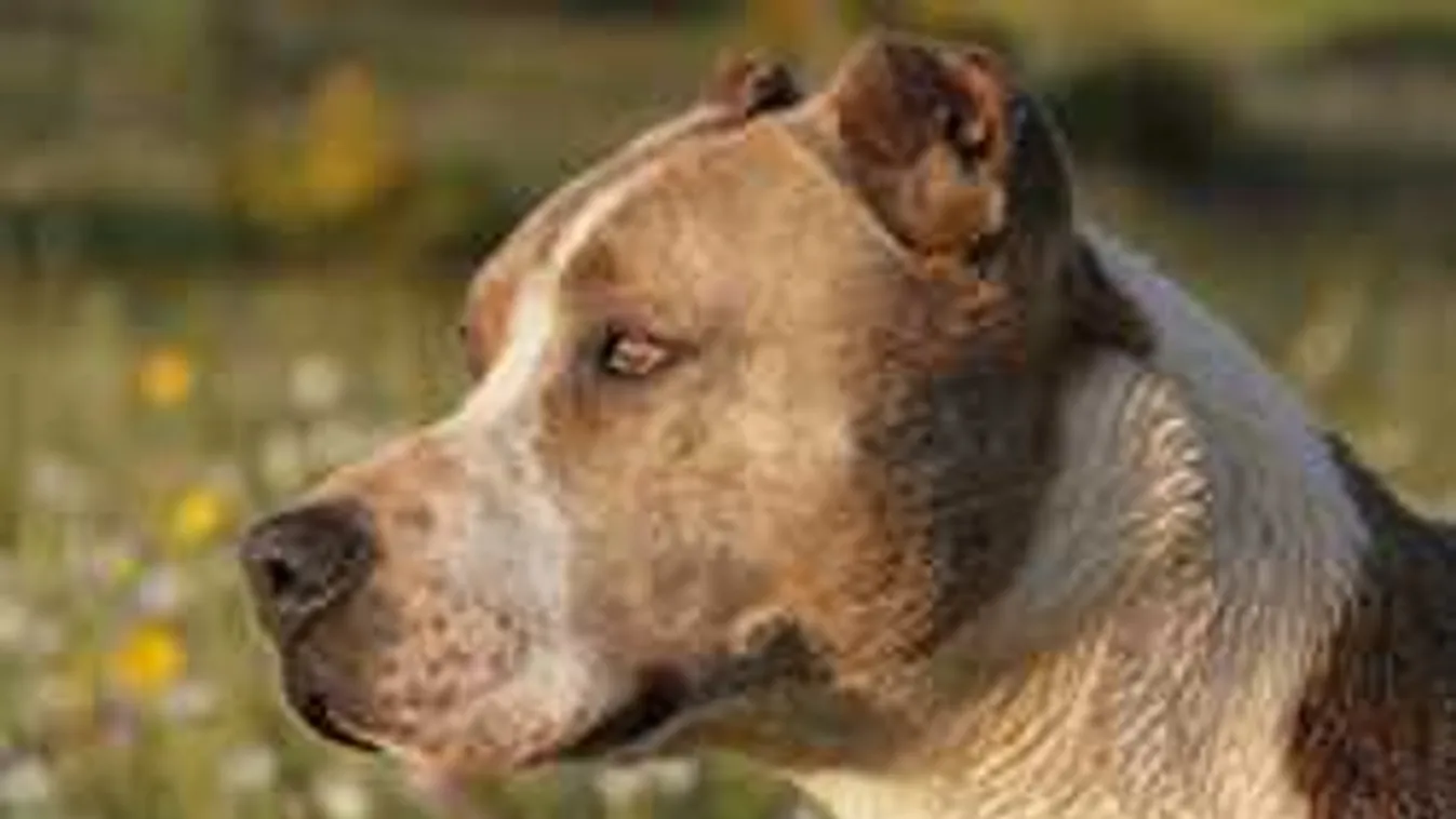 Botrány, ami történt: borzalmas látvánnyal szembesült a TEK Baranyában