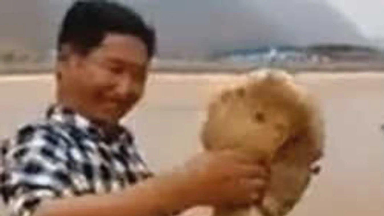 Azt hitték, vízihullát találtak, ijesztő, ami ezután történt