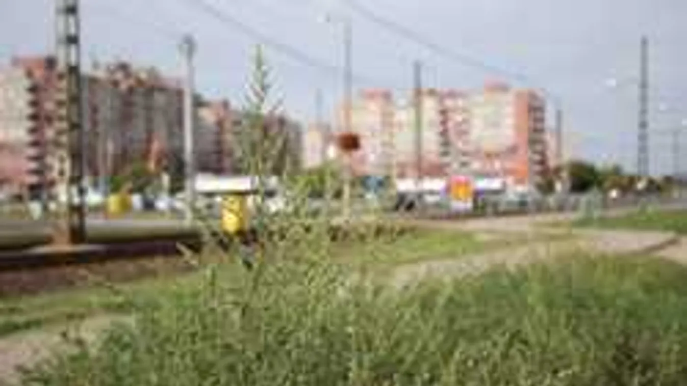 Óriási változások jönnek mától!