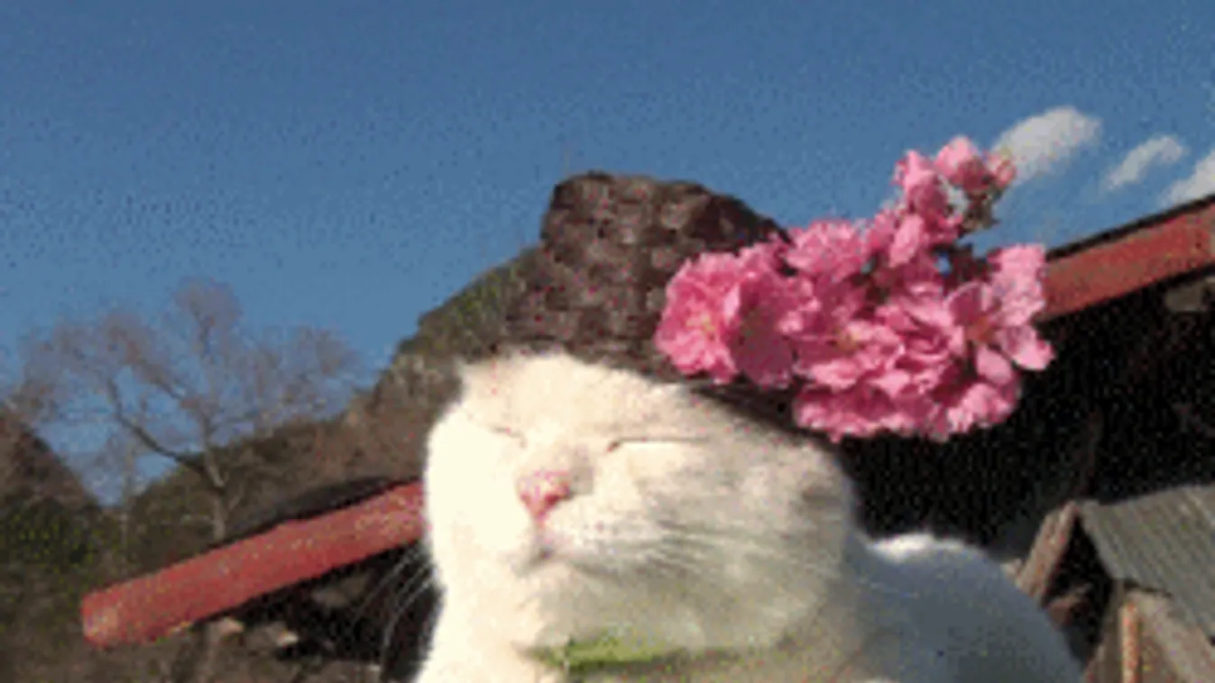 Ragyogó napsütéssel indul a reggel, aztán így durvul be az időjárás