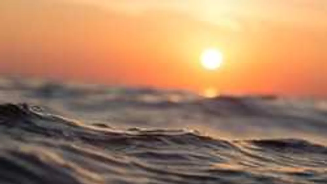 Levideózták, hátborzongató, amit a Békás-tónál találtak