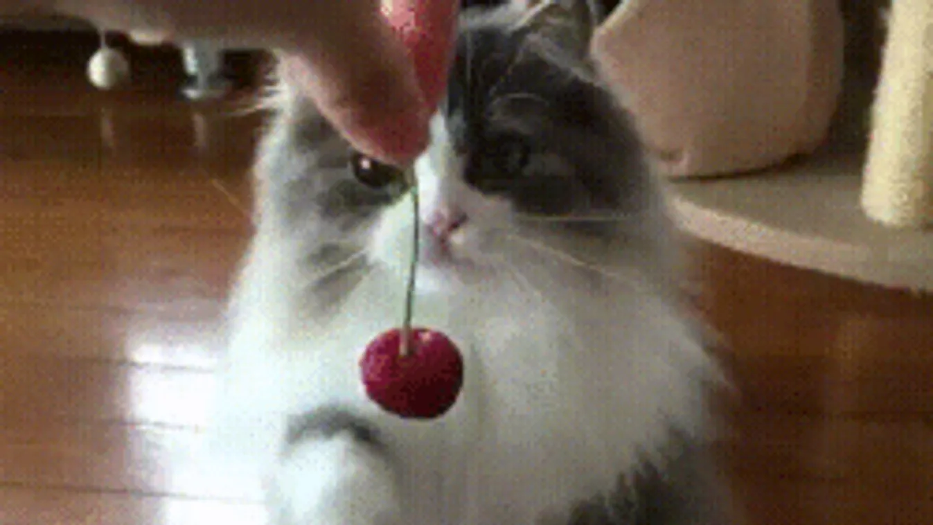 Riasztást adtak ki, egyre elviselhetetlenebb forróság jön