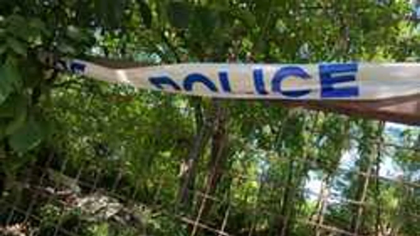 Újra kutat a rendőrség a győri emberrabló telkén