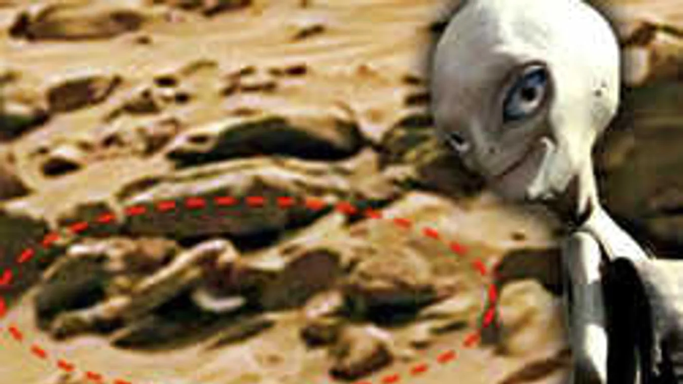 Döbbenet és néma csend: marslakót fedeztek fel, óriási fehér pénisszel