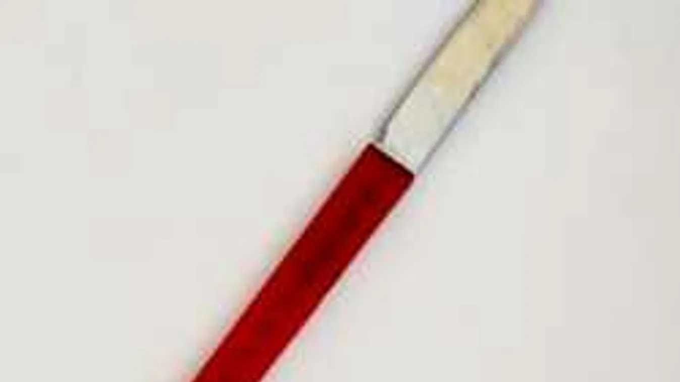 Könyörtelenül mártotta piros nyelű kését haragosába a mezőzombori férfi