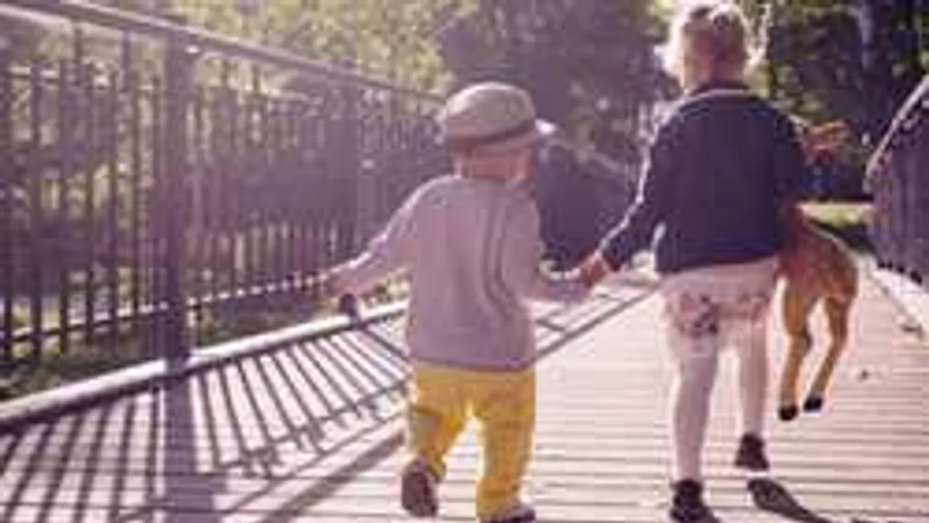 Élő adásban történt durva baleset, gyereksikoly hallatszott