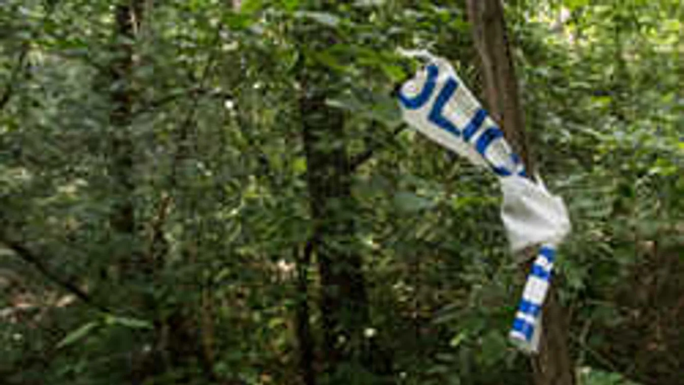 Rettegés Pest megyében: Köztünk járhat a darabolós gyilkos