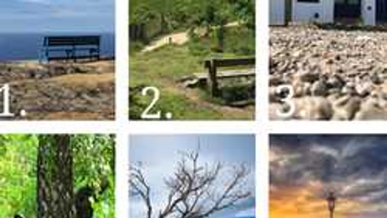 Melyik padra ülnél le? Ez a teszt megmutatja, mit várhatsz a jövőtől