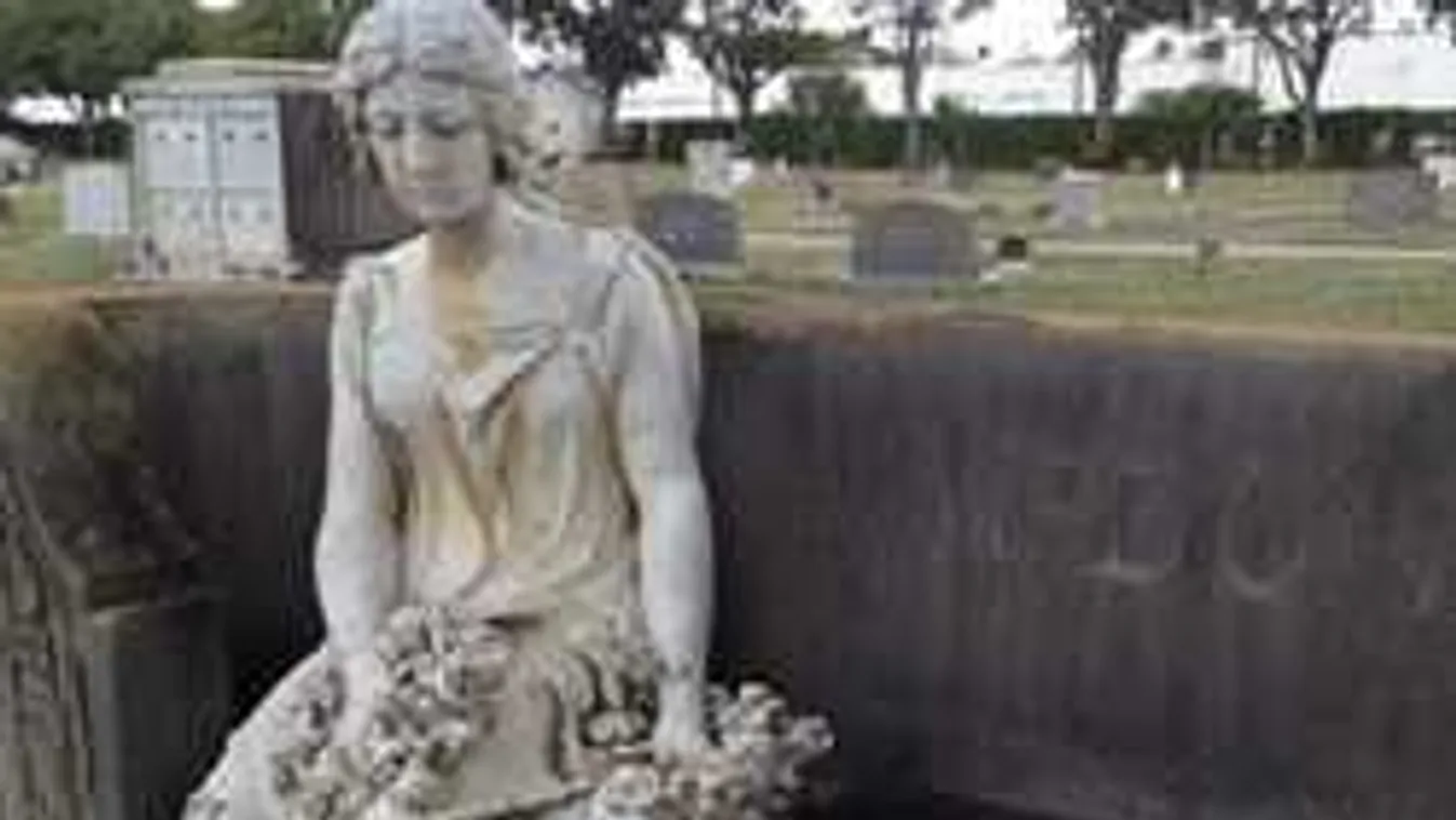 Egyre több migráns arab özvegye kap nyugdíjat Belgiumtól