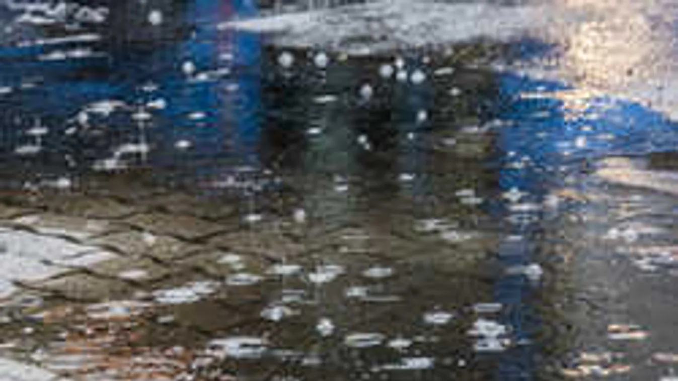 Lecsapott a pusztító vihar: fákat tépett ki a szél, járhatatlanok az utak