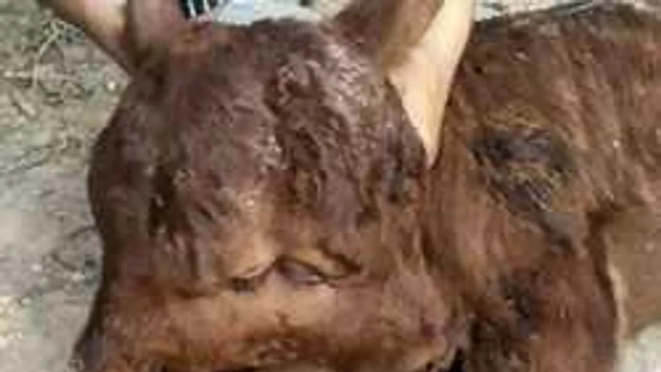 Olyat videóztak egy kínai faluban, amit sose lett volna szabad