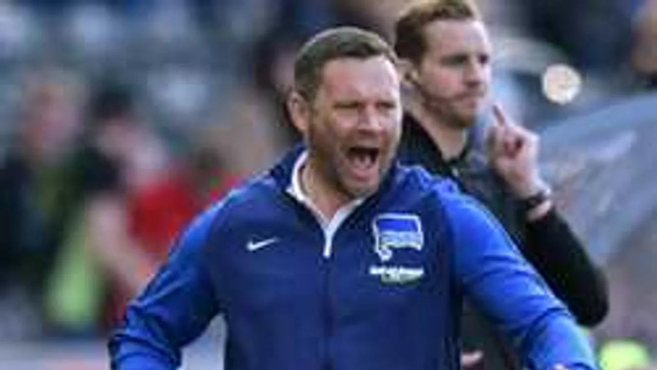 Dárdai Pál is dalra fakadt, zengett a világsláger