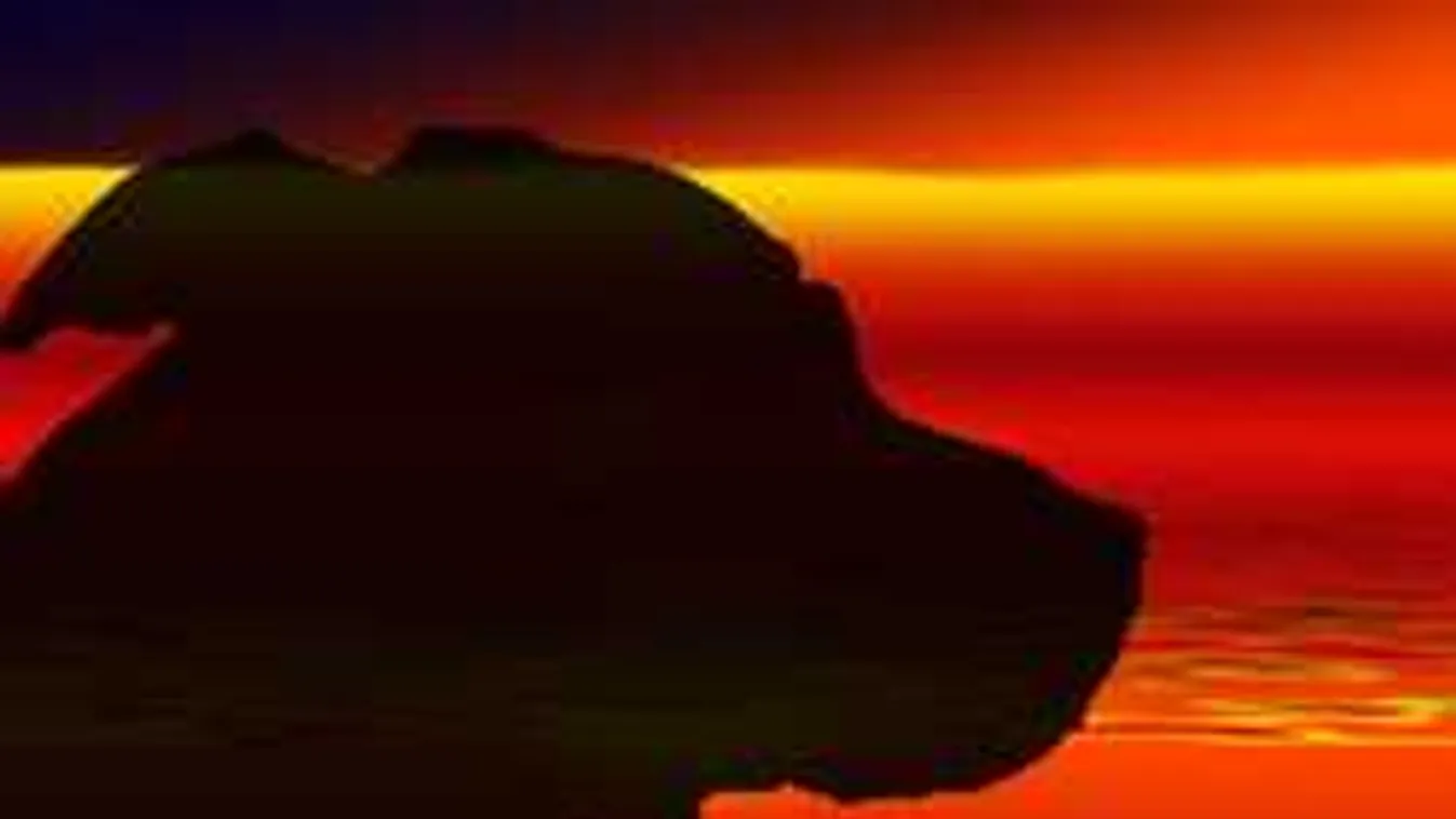 Tűzoltókat riasztottak a XI. kerületbe, helyszíni videó a mentésről