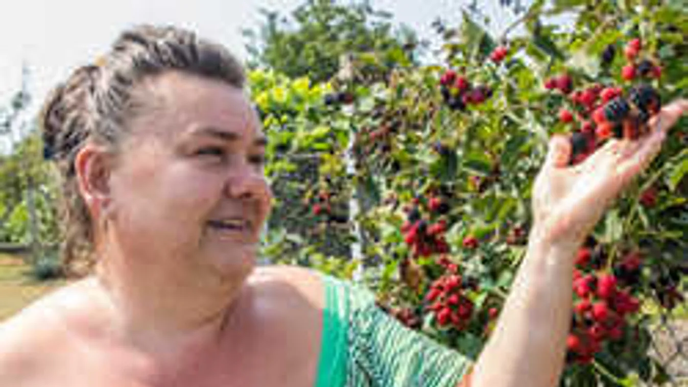 100 ezer nőt állított csatasorba a szabolcsi háziasszony